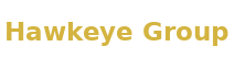 Hawkeye Group