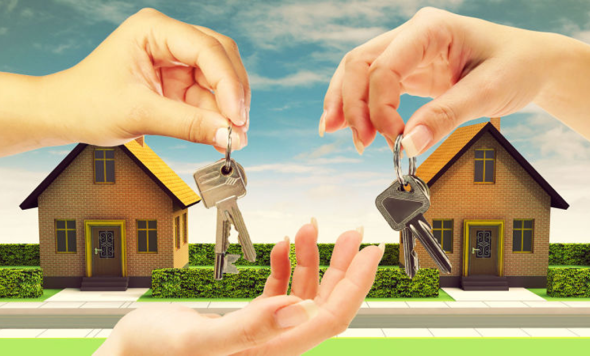 Purchase Consultation